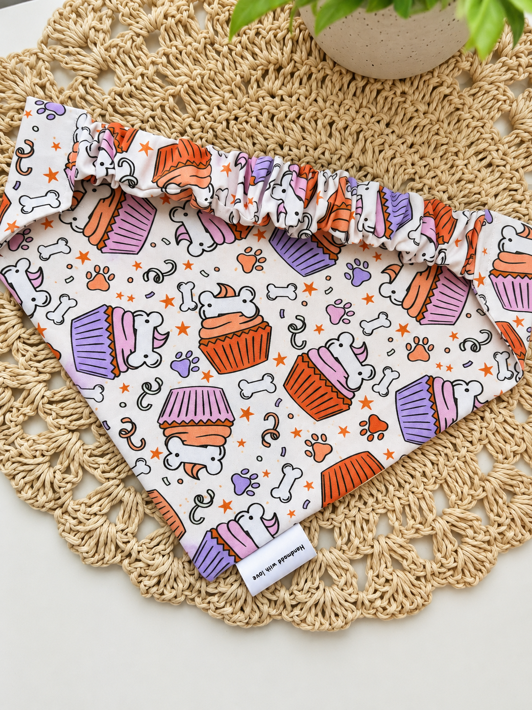 Birthday Bash Bandana