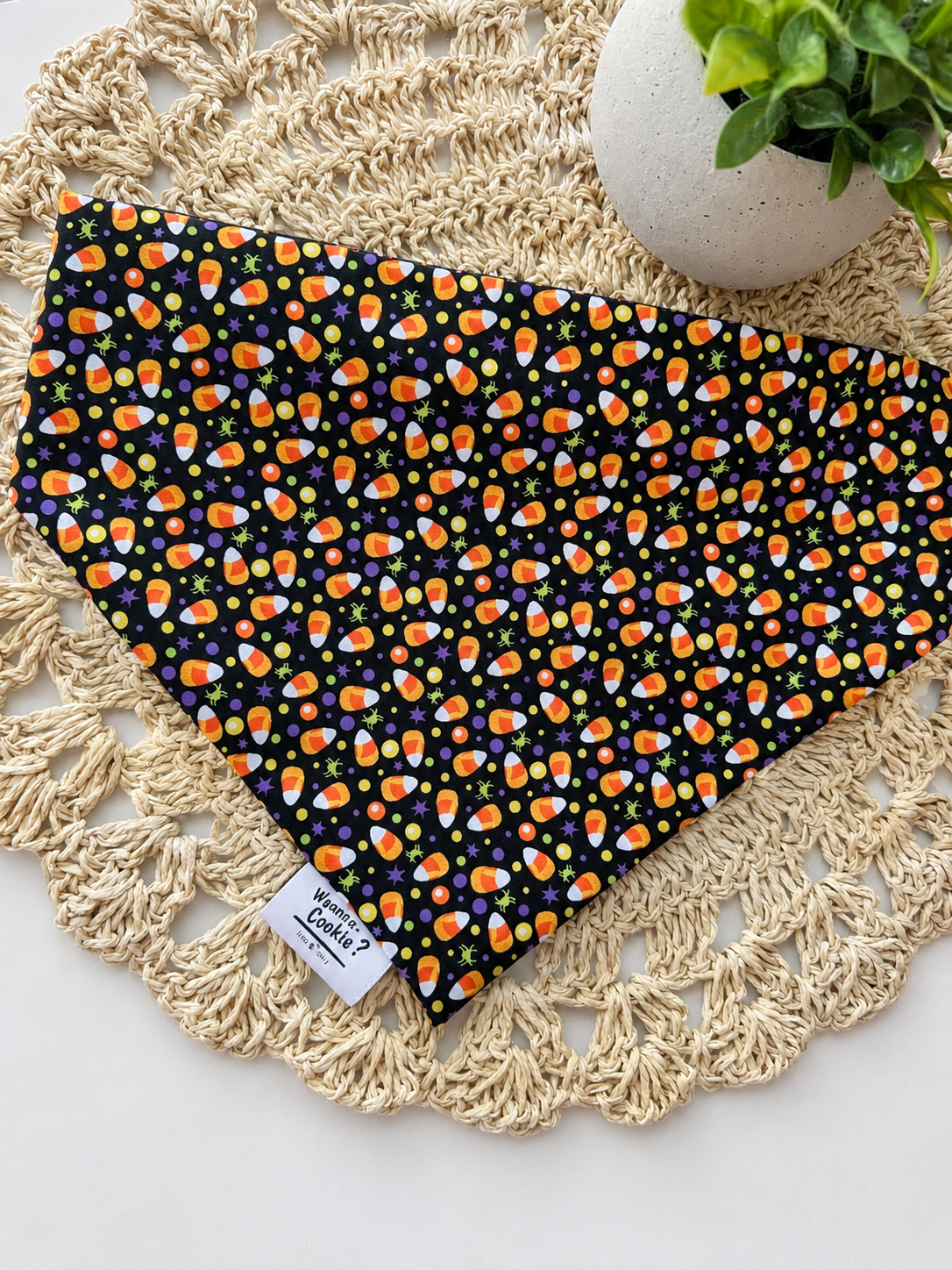 Candy Corn Cutie Bandana