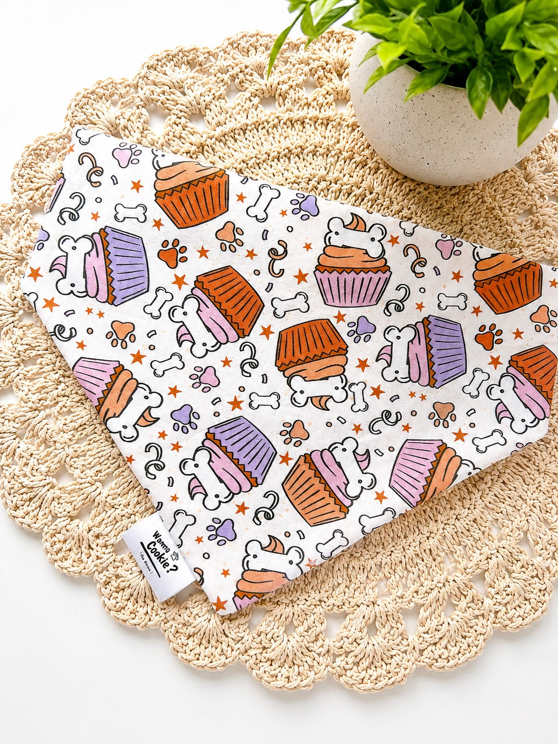 Birthday Bash Bandana