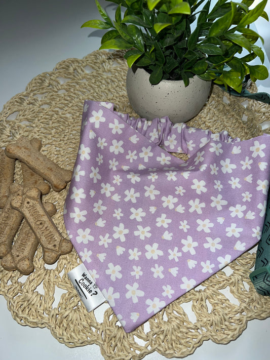 Lilac Daisy Dreams Bandana