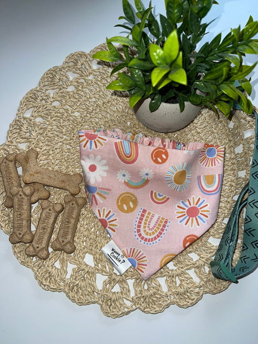 Retro Rainbow Smiles Bandana
