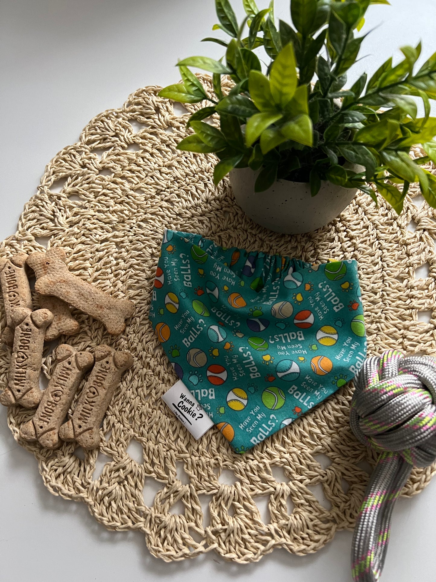 Fetch Fanatic Bandana