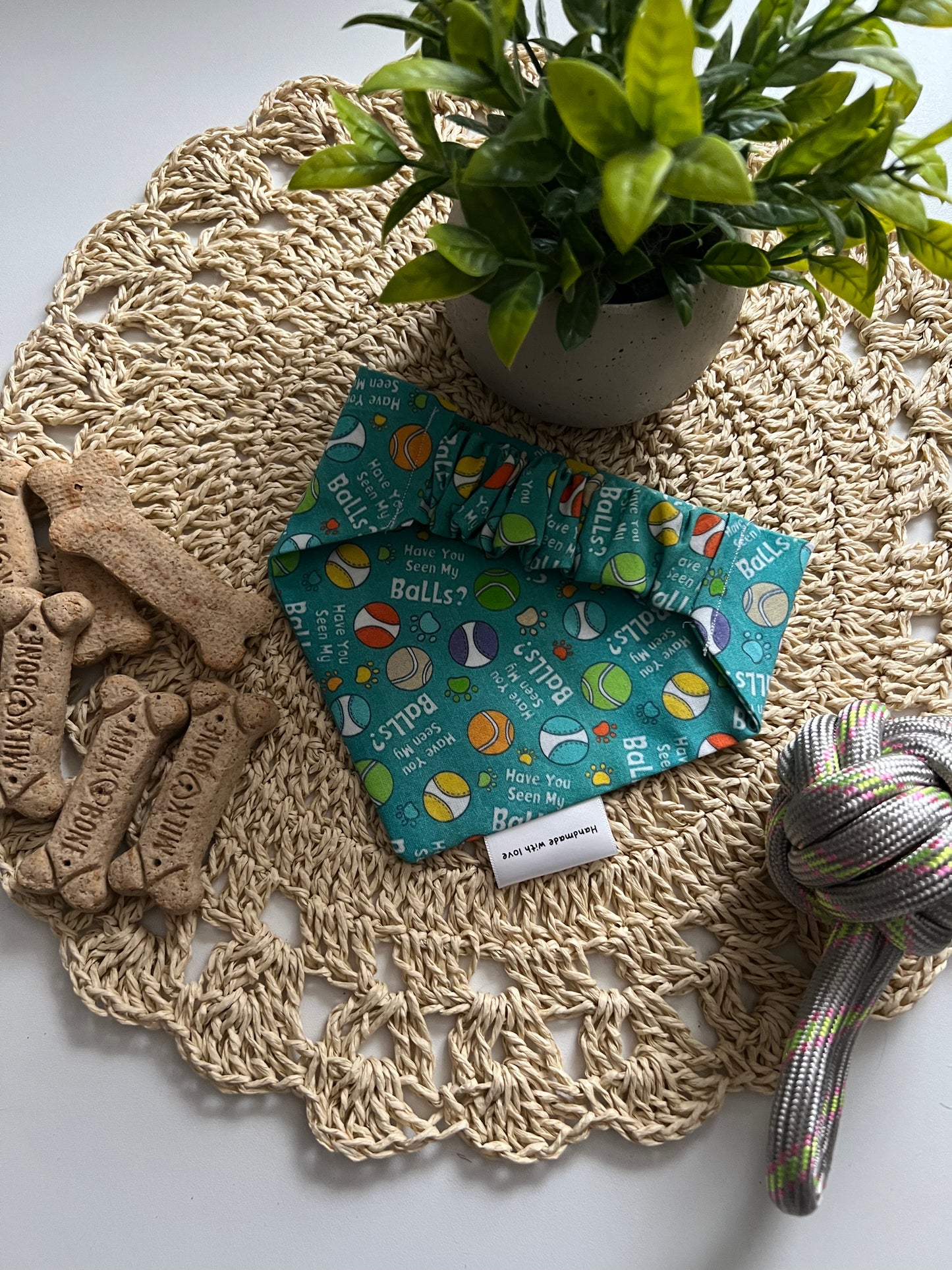 Fetch Fanatic Bandana