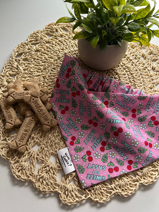 Sweet & Sassy Pup Bandana
