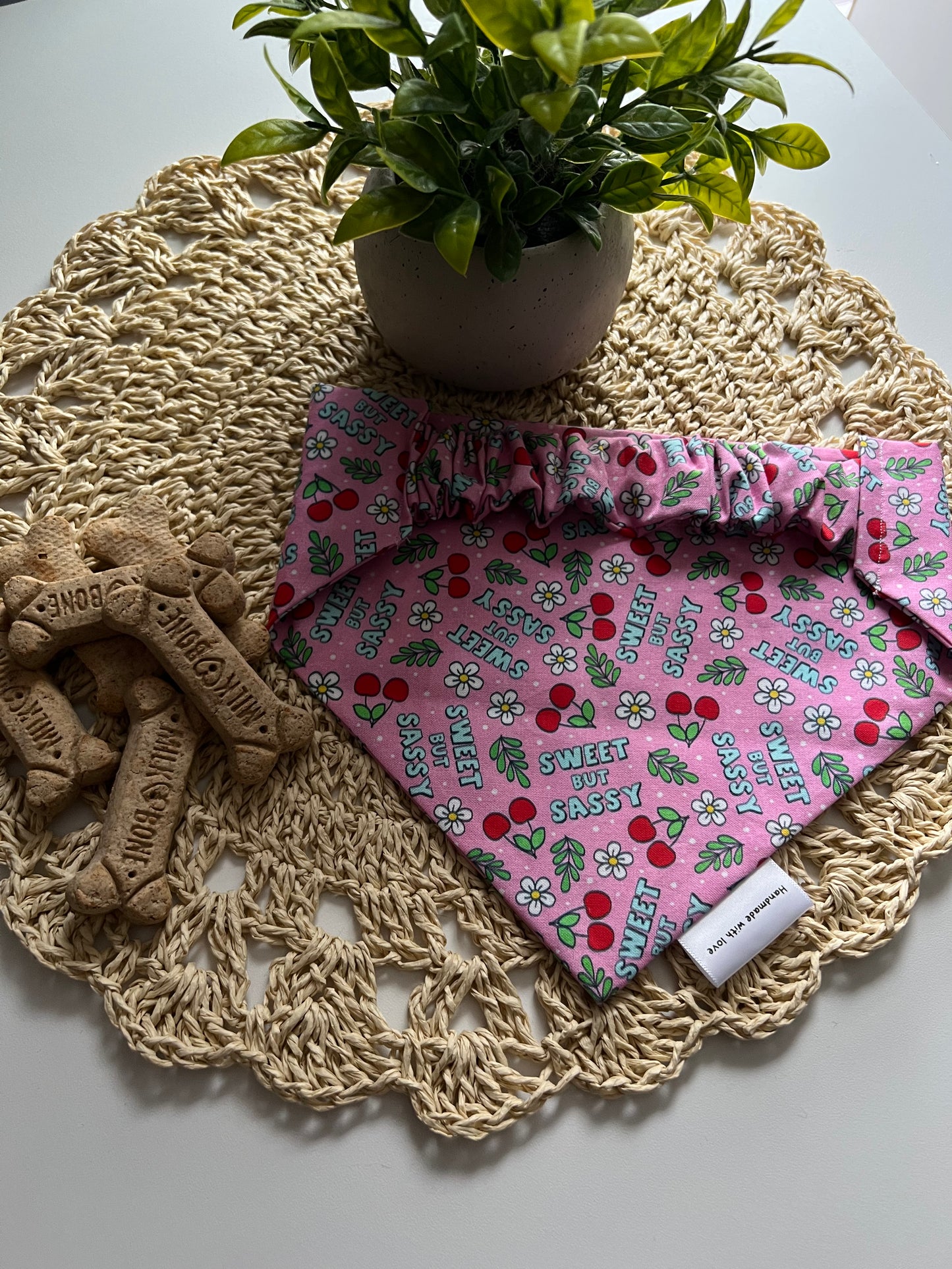 Sweet & Sassy Pup Bandana