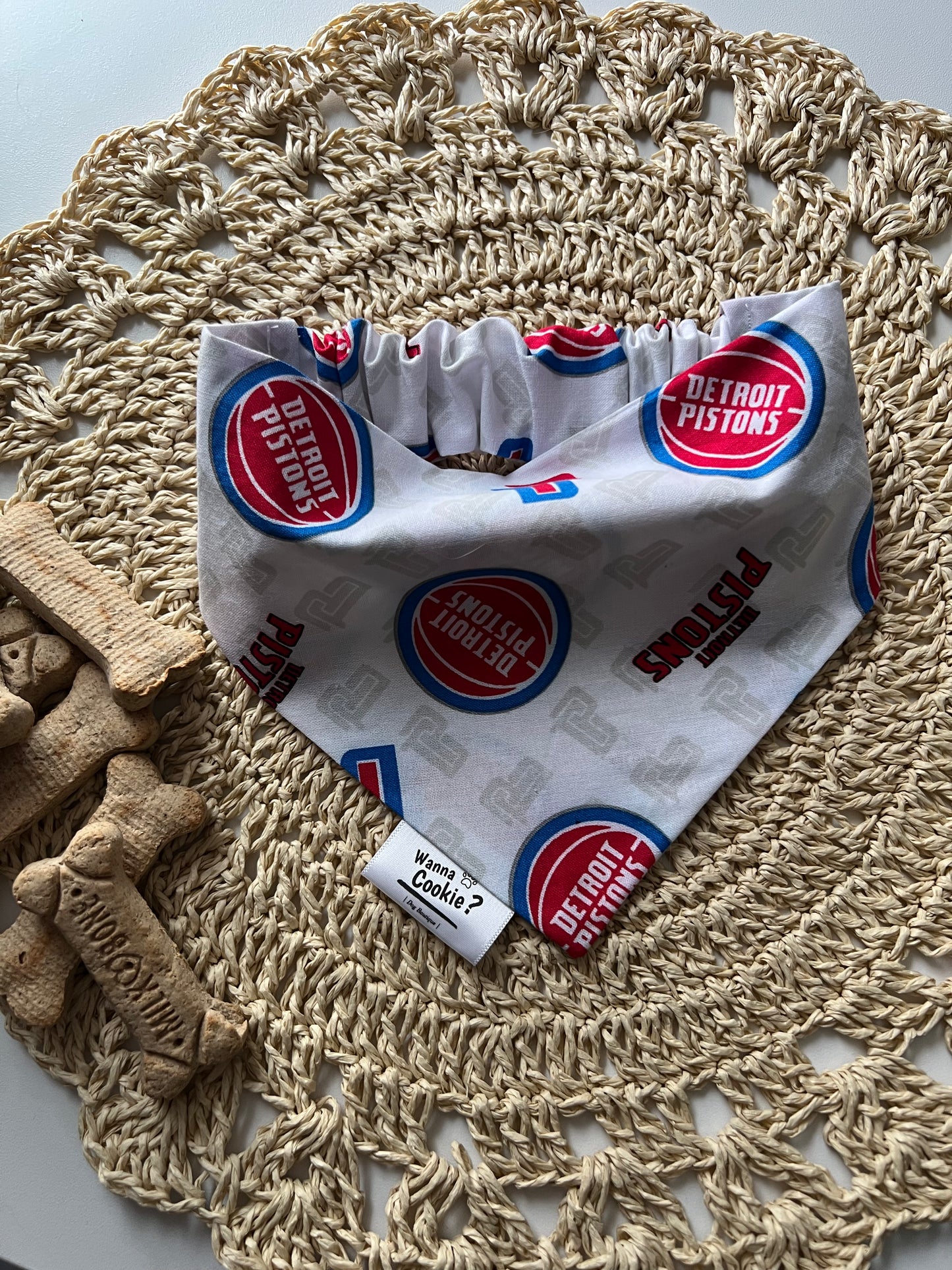 Deeetroit Basketball Pup Bandana