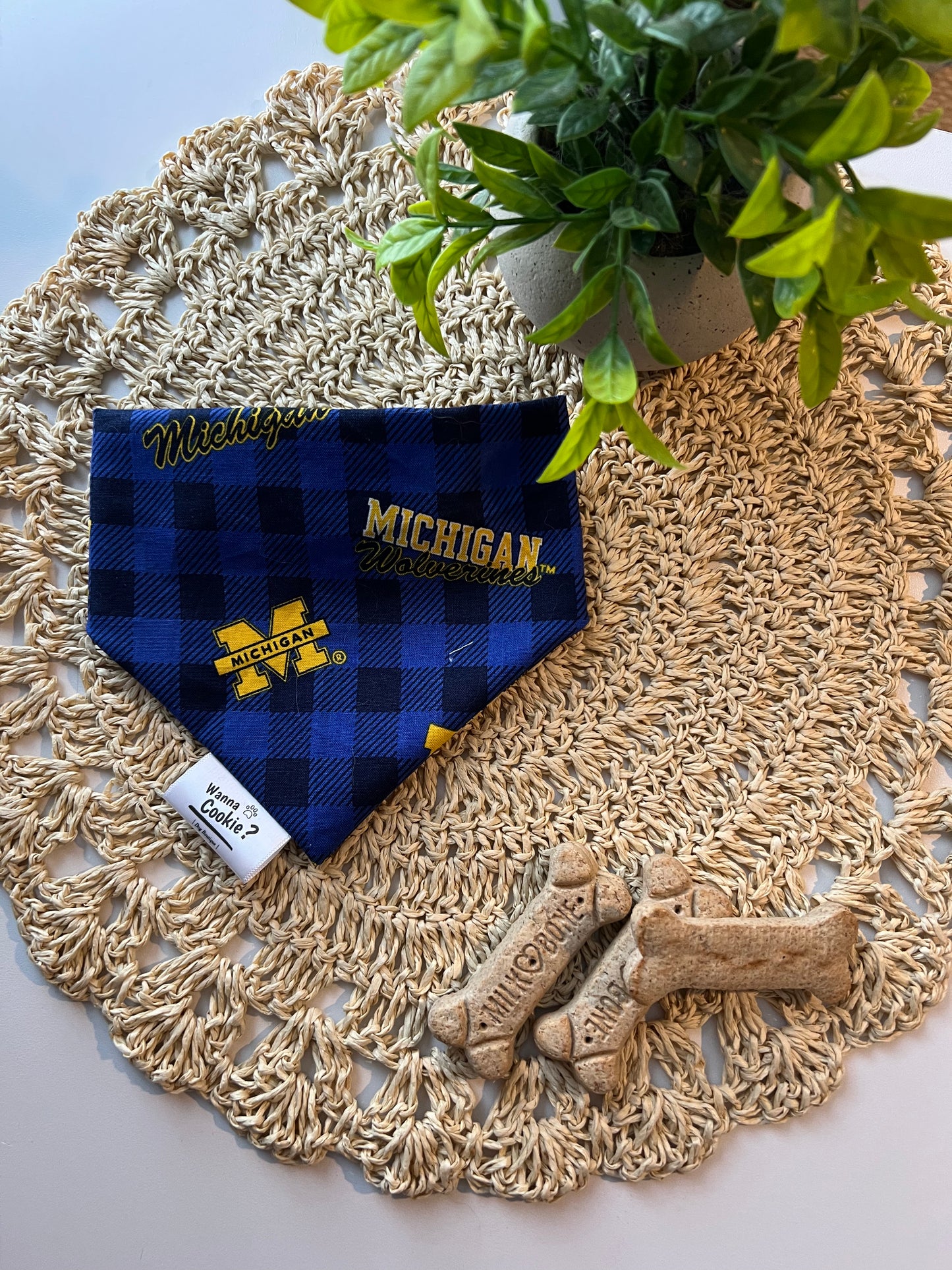 Go Blue Game Day Bandana