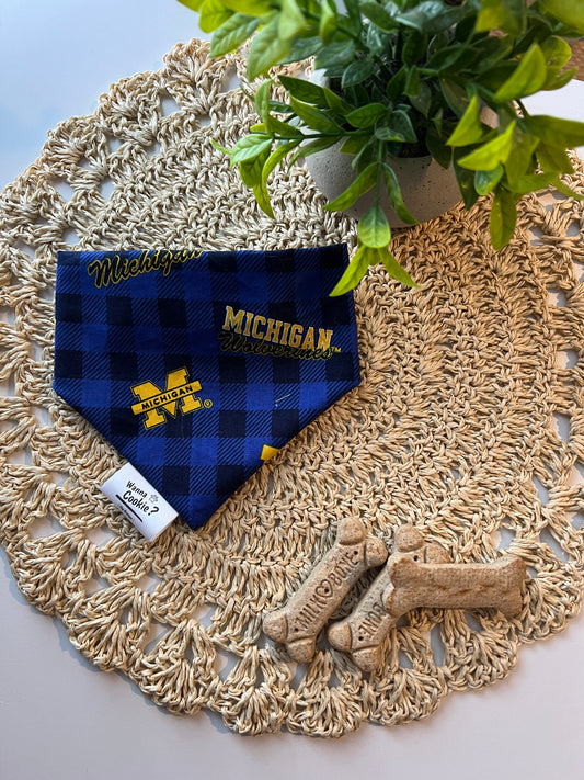 Go Blue Game Day Bandana