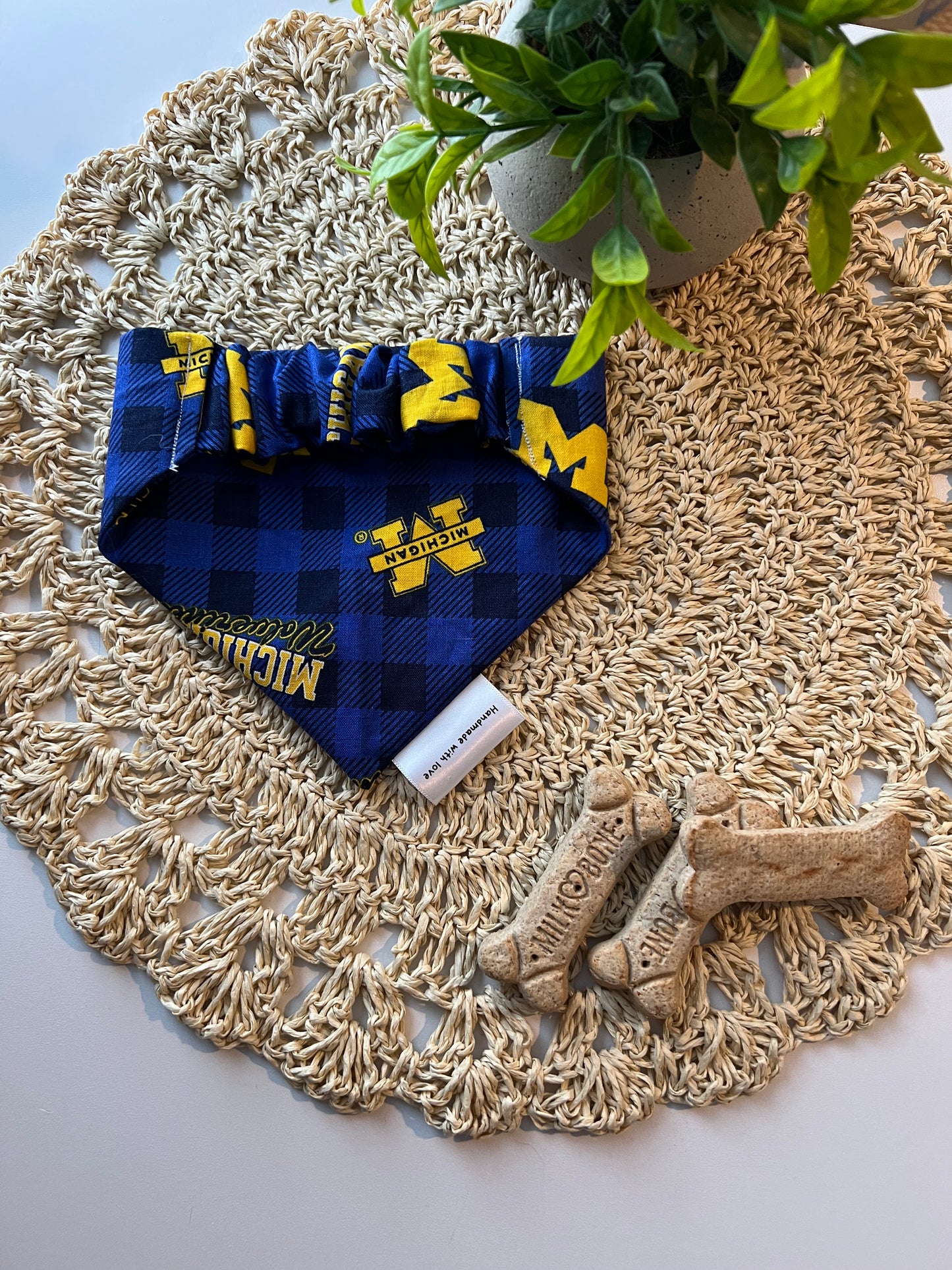 Go Blue Game Day Bandana