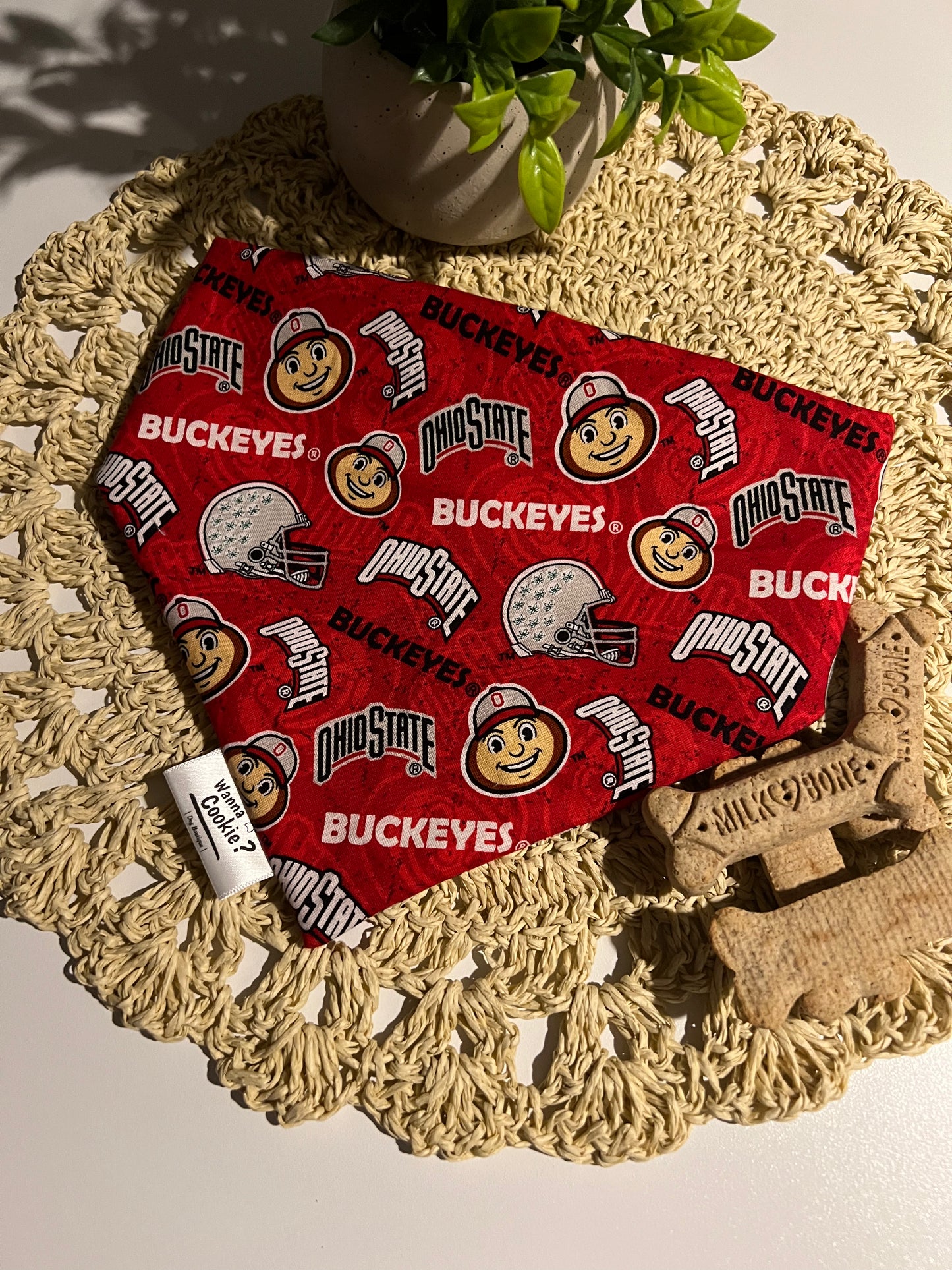 Buckeye Baby Bandana