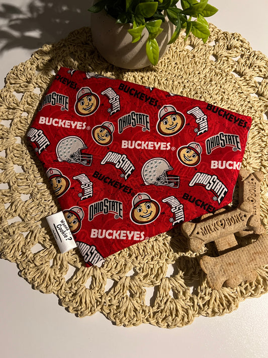 Buckeye Baby Bandana
