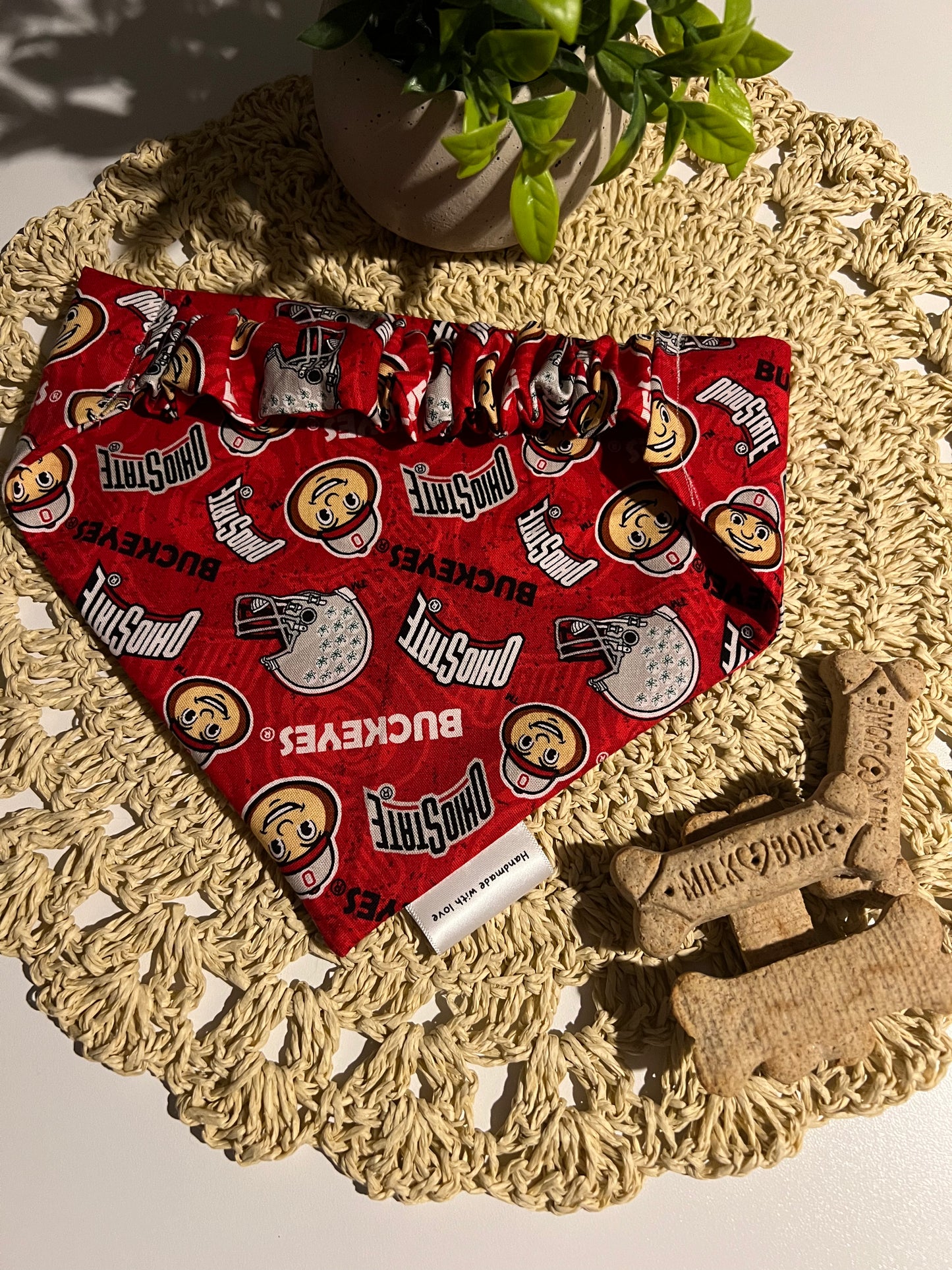 Buckeye Baby Bandana